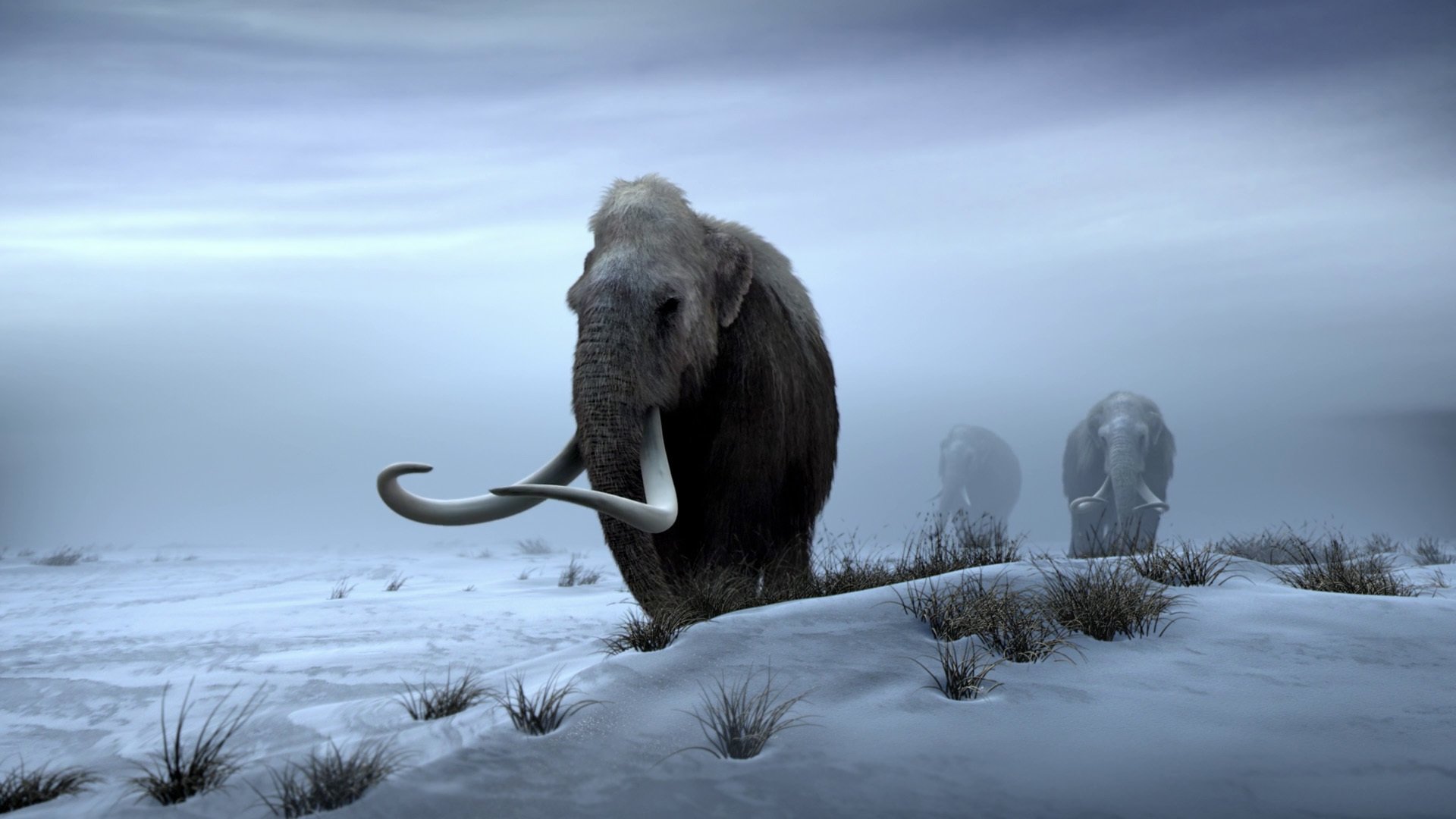 Backdrop for Titans of the Ice Age