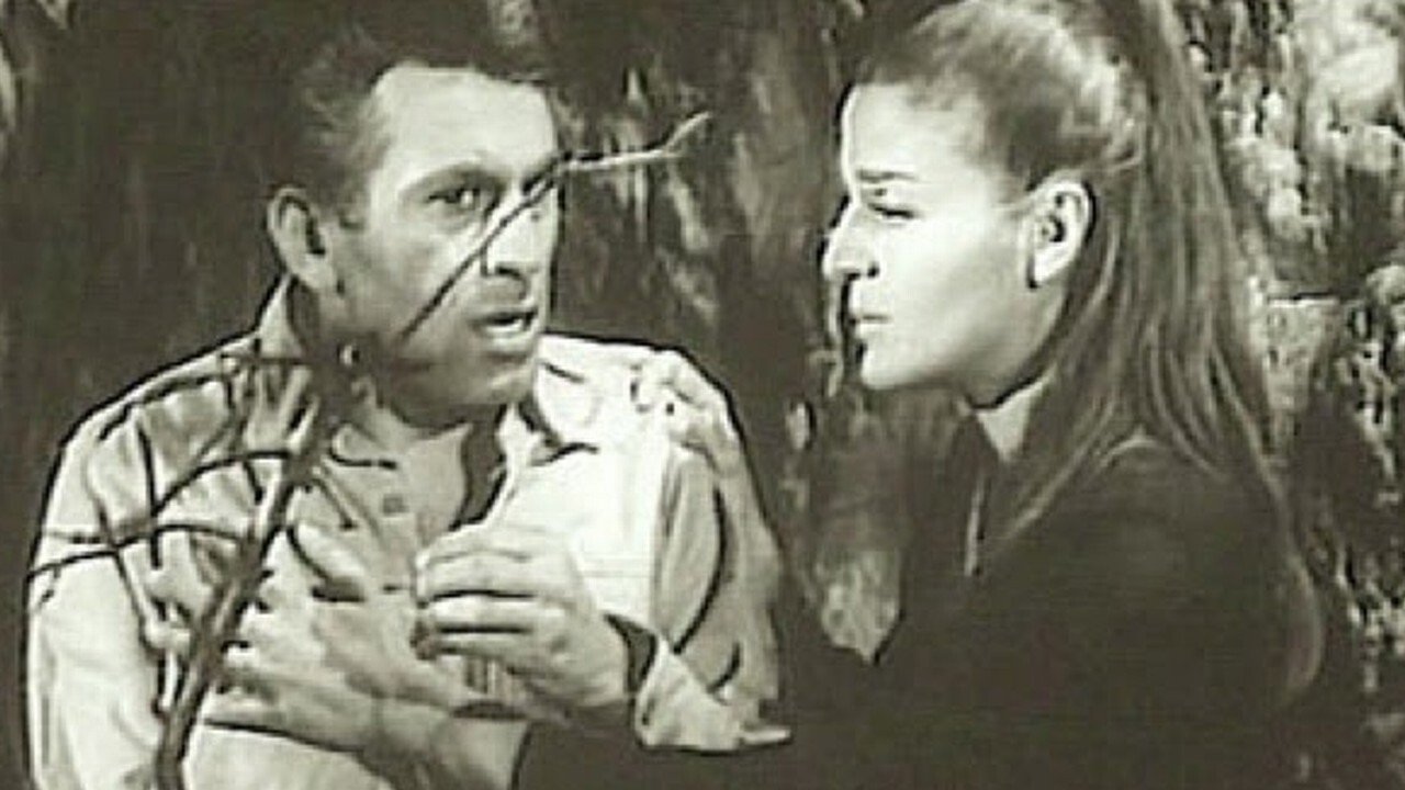 Backdrop for The man who returned from pain