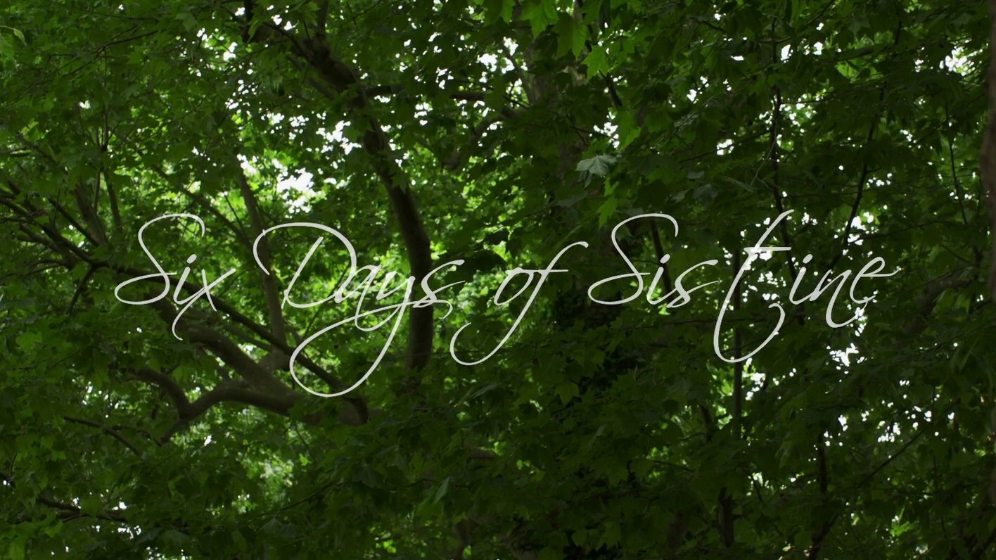 Backdrop for Six Days of Sistine