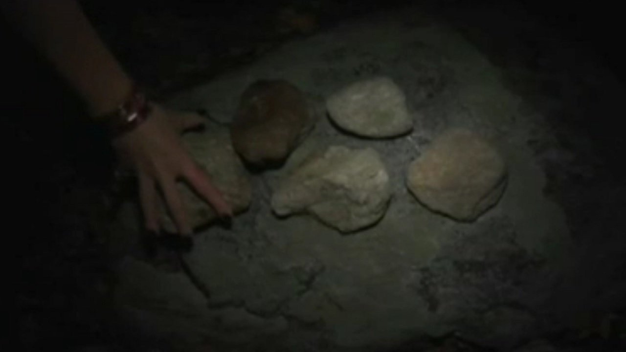 Backdrop for Under the Ravens Wing