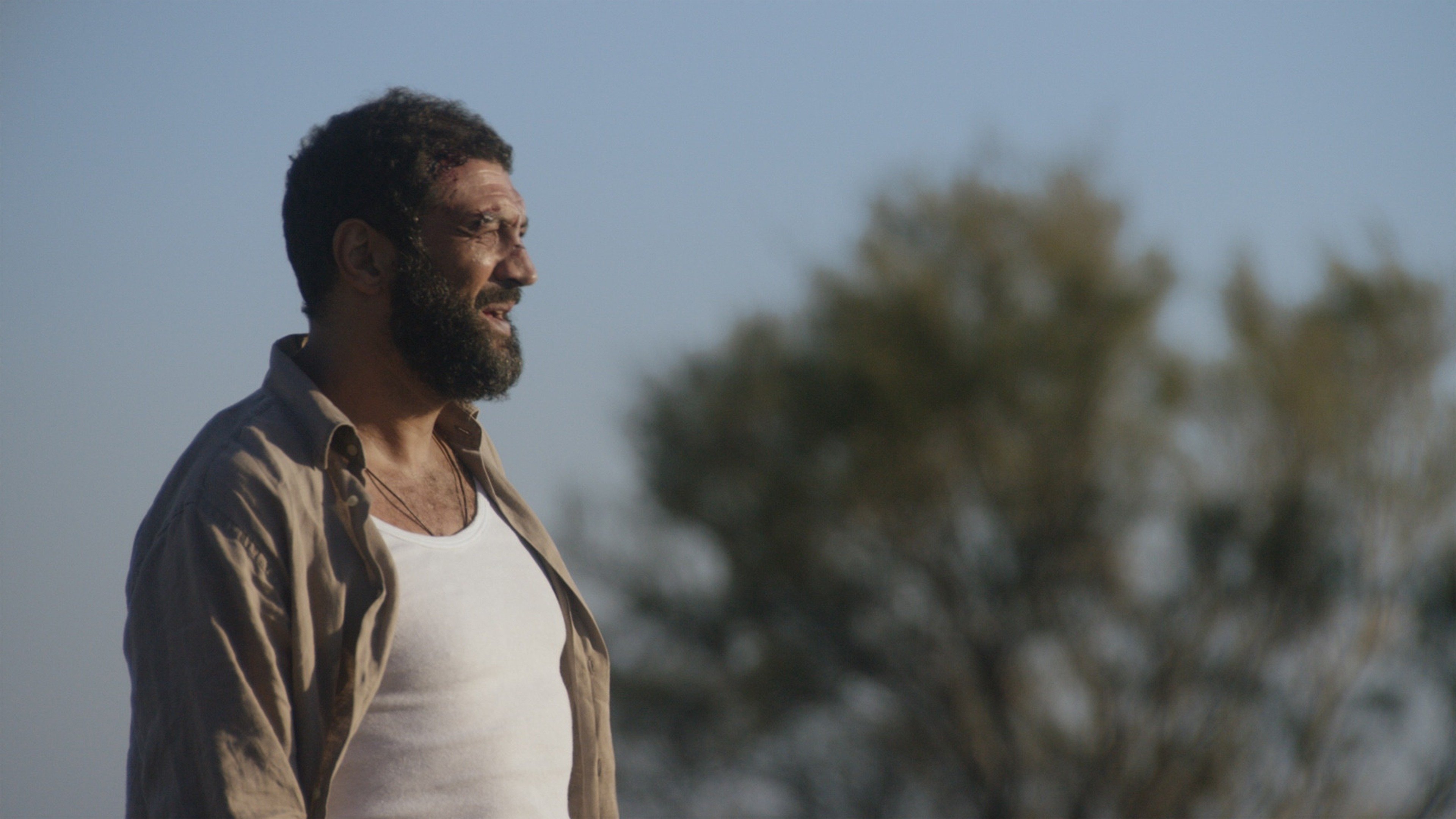 Backdrop for South Terminal