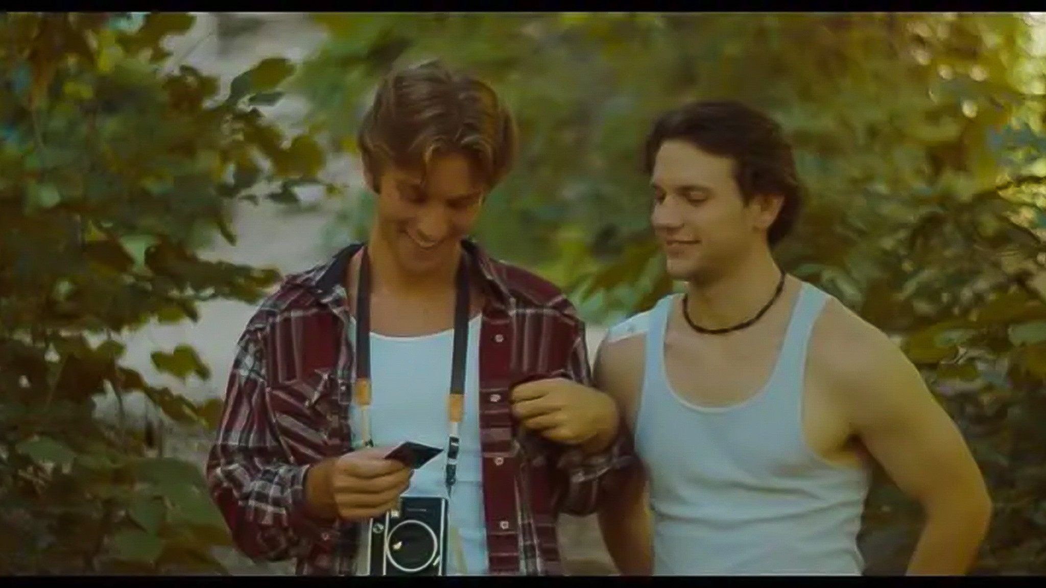 Backdrop for A Whisper in the Trees