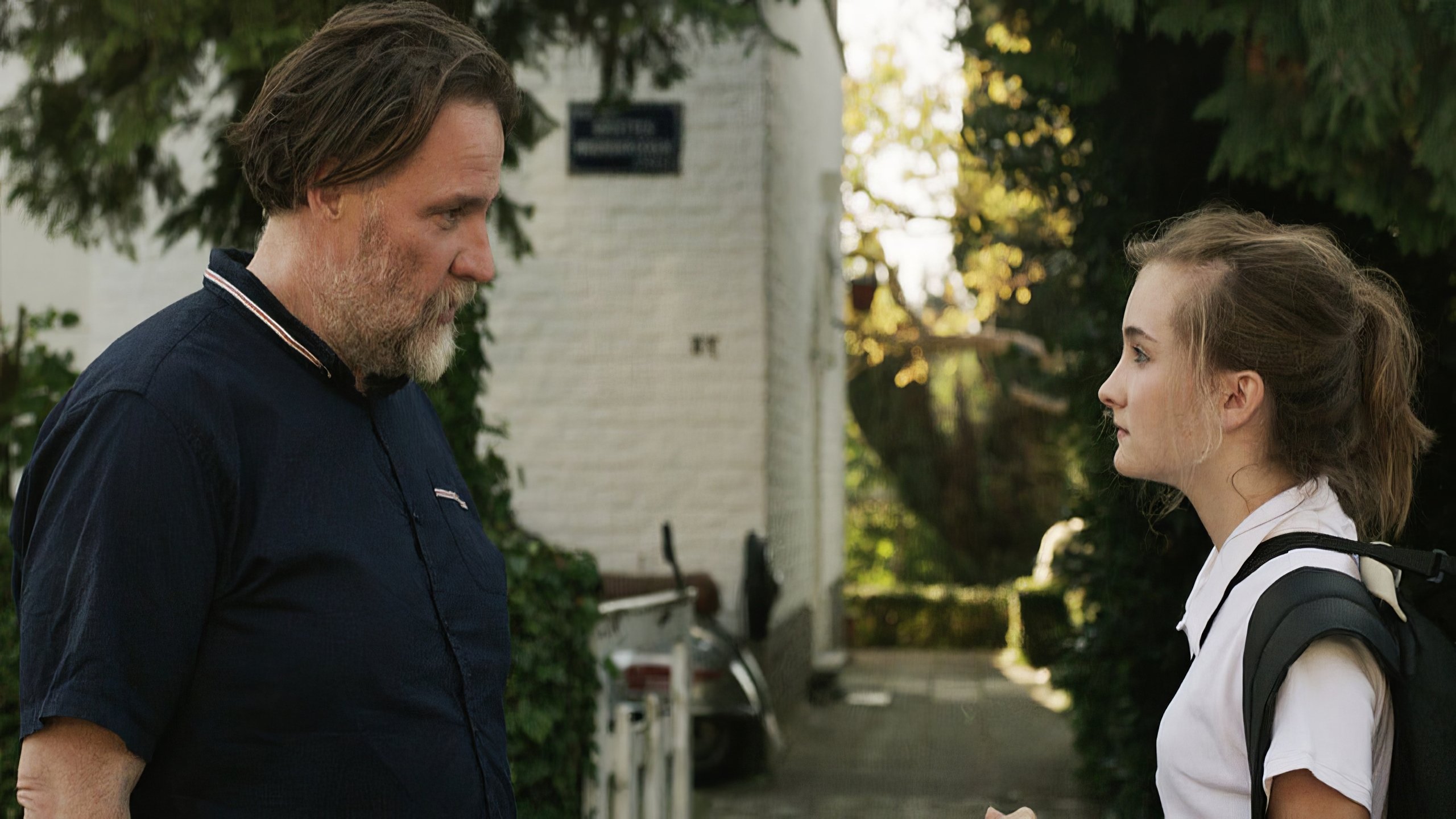 Backdrop for All Cats Are Grey