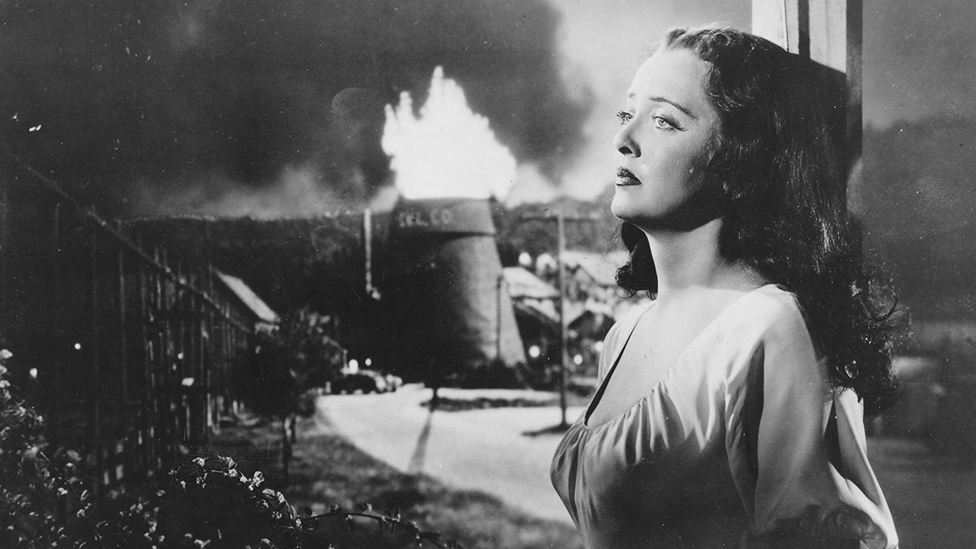 Backdrop for Beyond the Forest