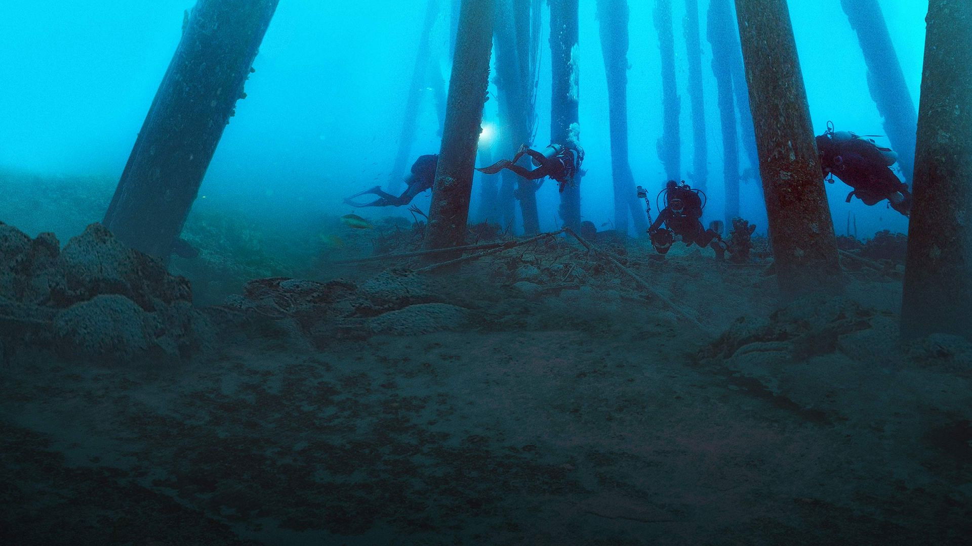 Backdrop for Reef Wrecks