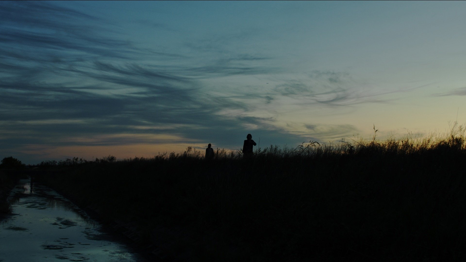 Backdrop for Wasteland