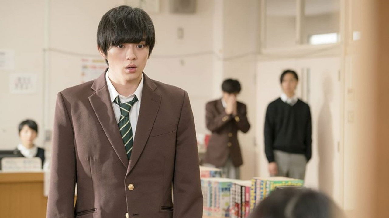 Backdrop for Sakura Blooms