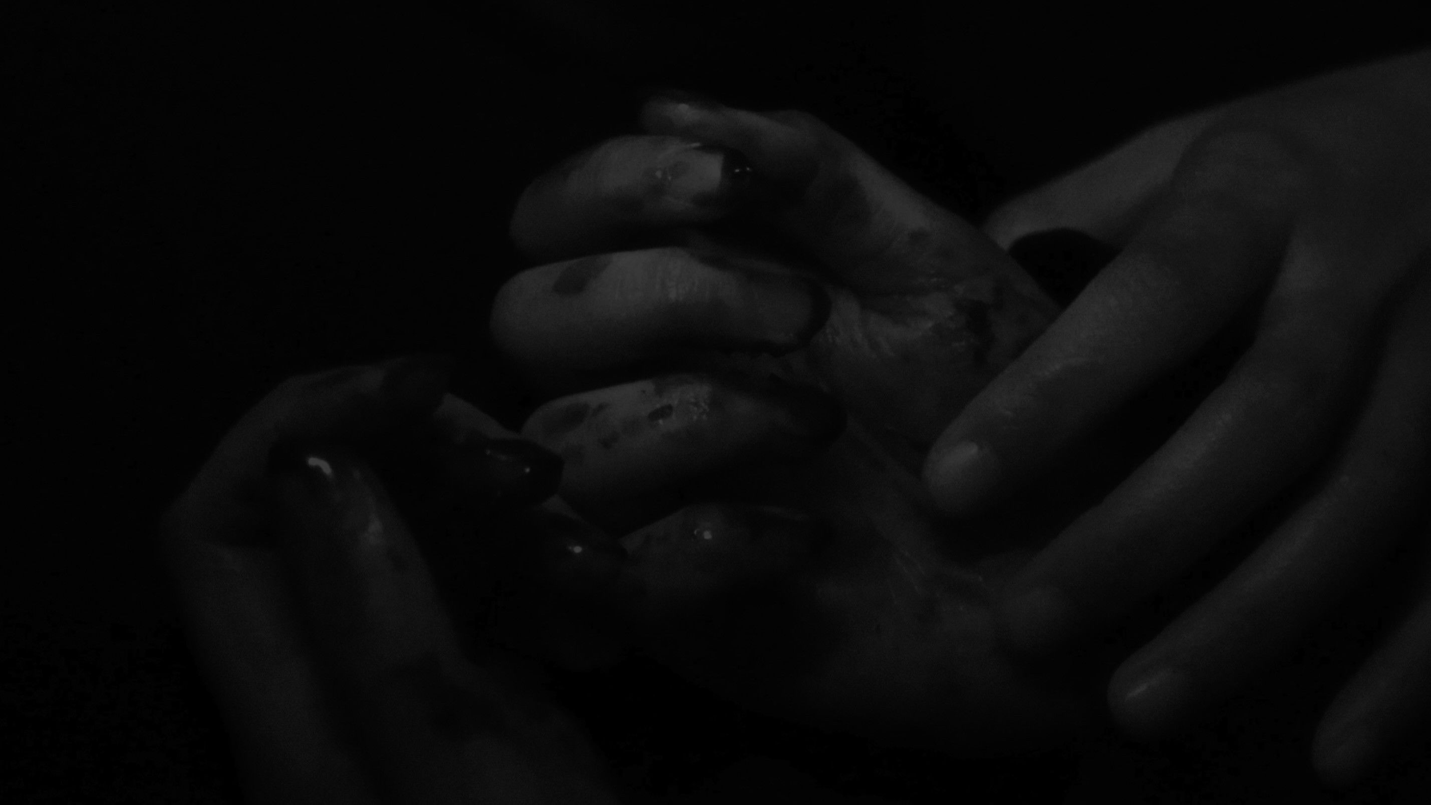 Backdrop for Snapshot