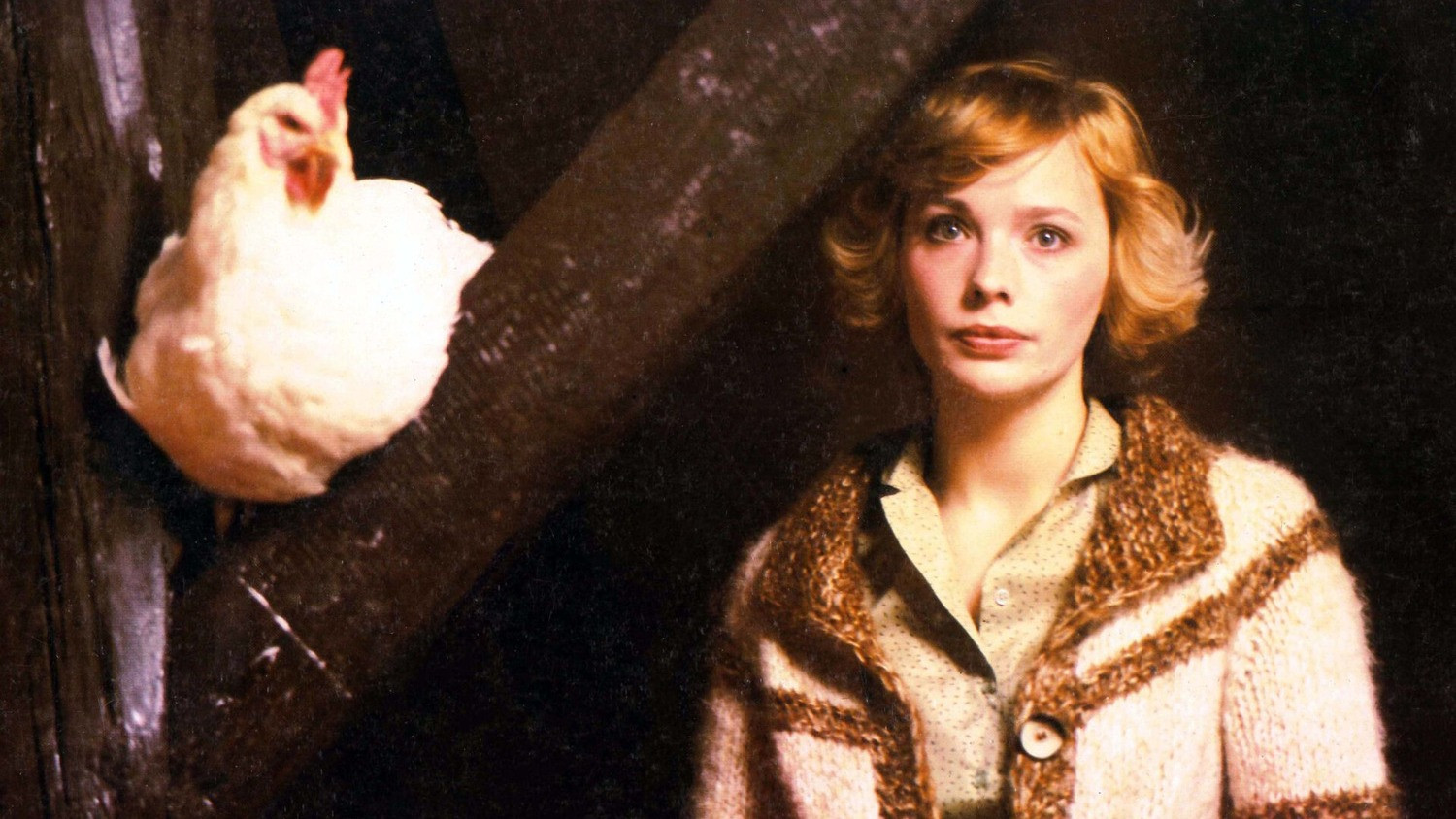 Backdrop for Erogenous Zone