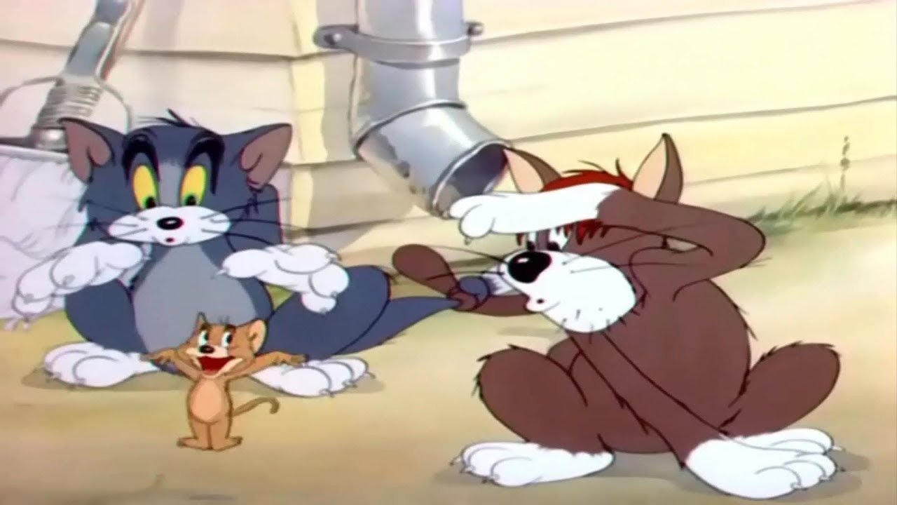 Backdrop for Sufferin' Cats!