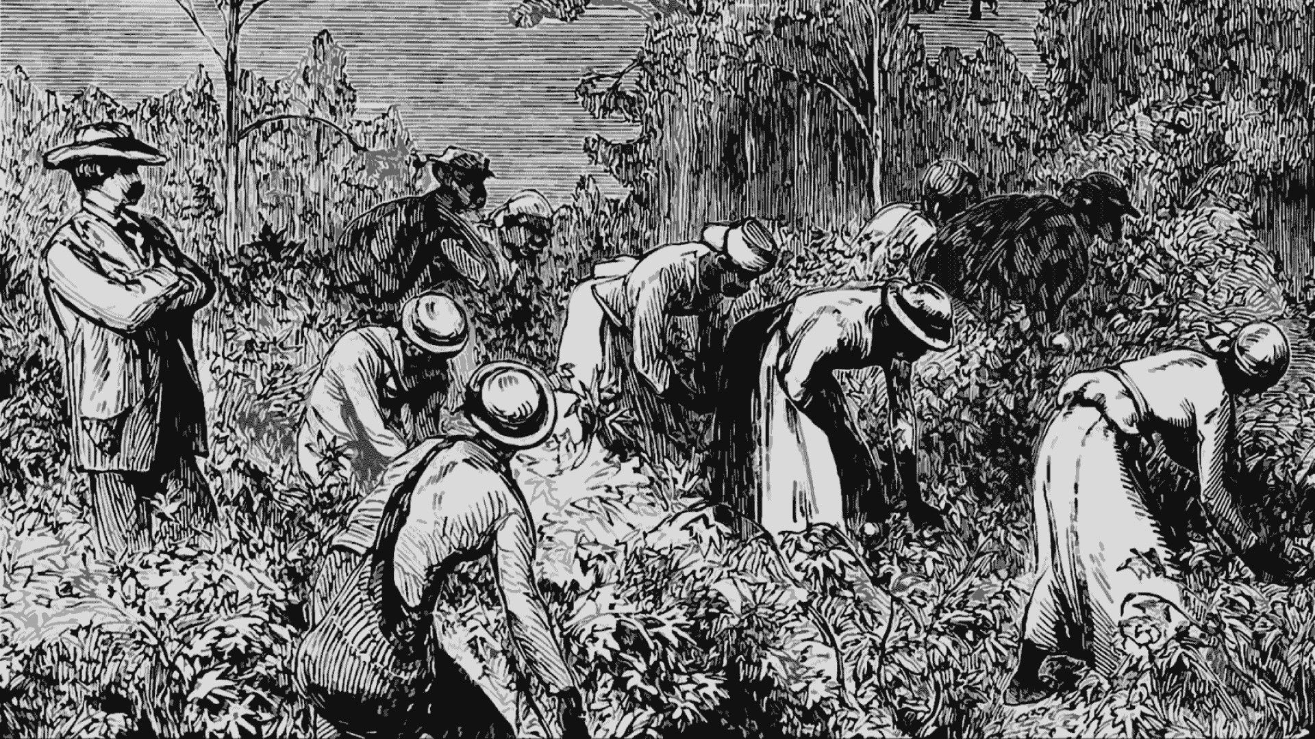 Backdrop for The Long Shadow