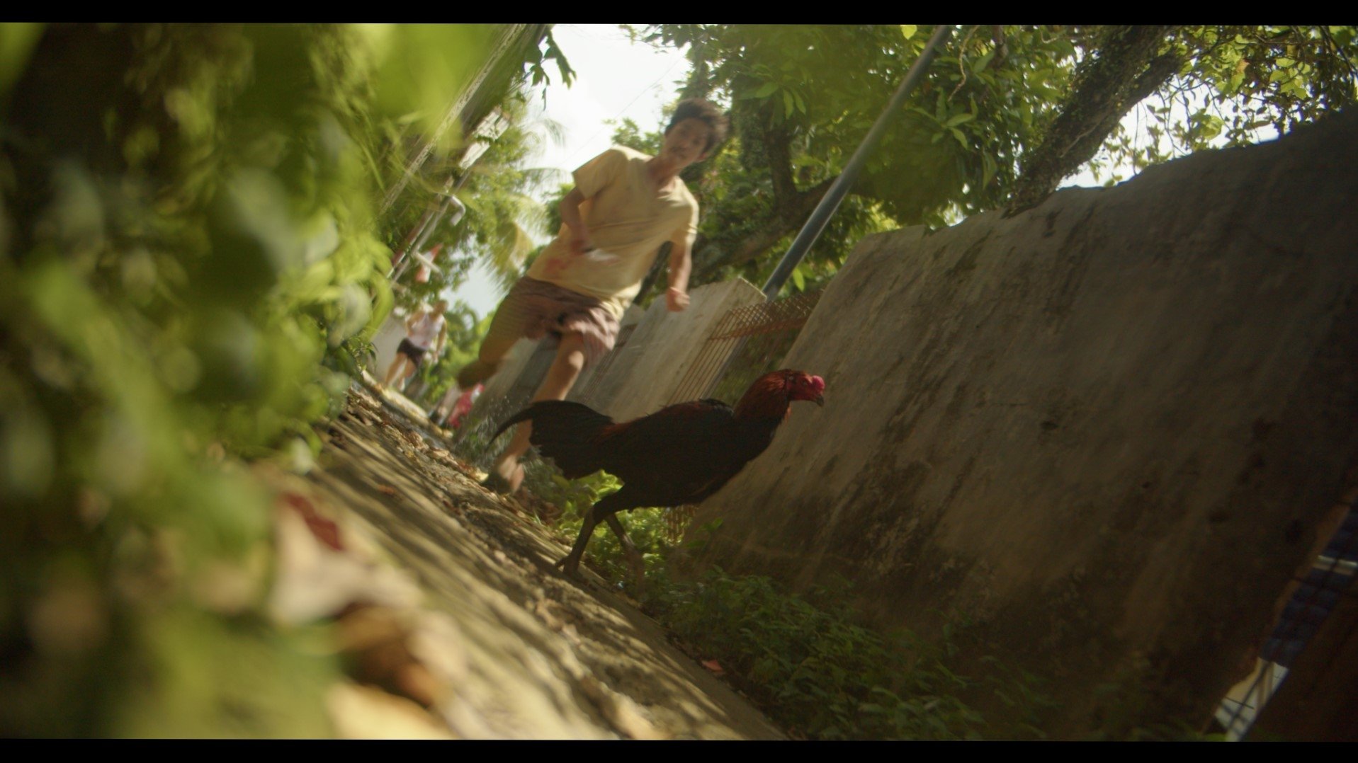 Backdrop for The Guest