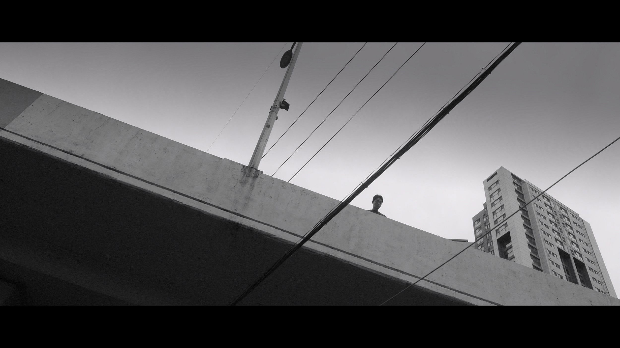 Backdrop for The Black