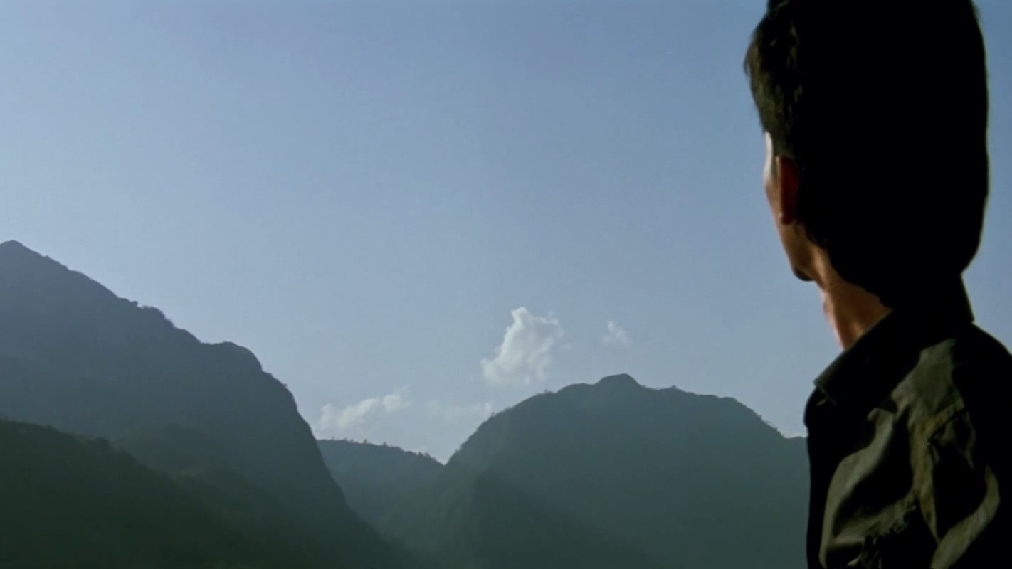 Backdrop for The Seed