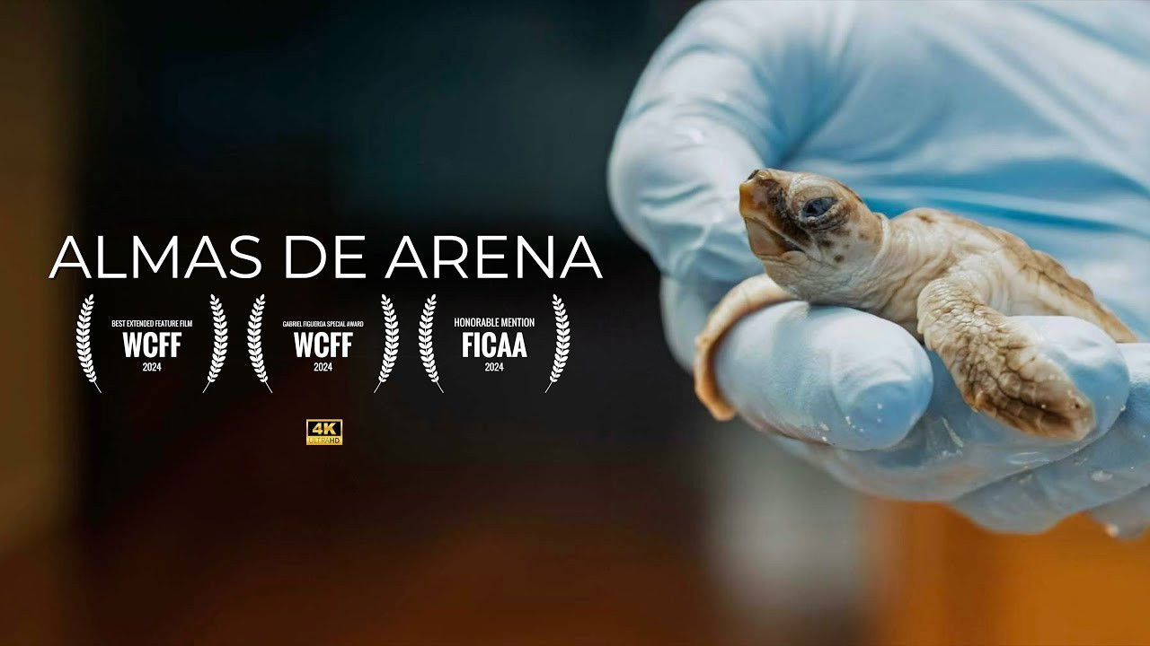 Backdrop for Almas de Arena