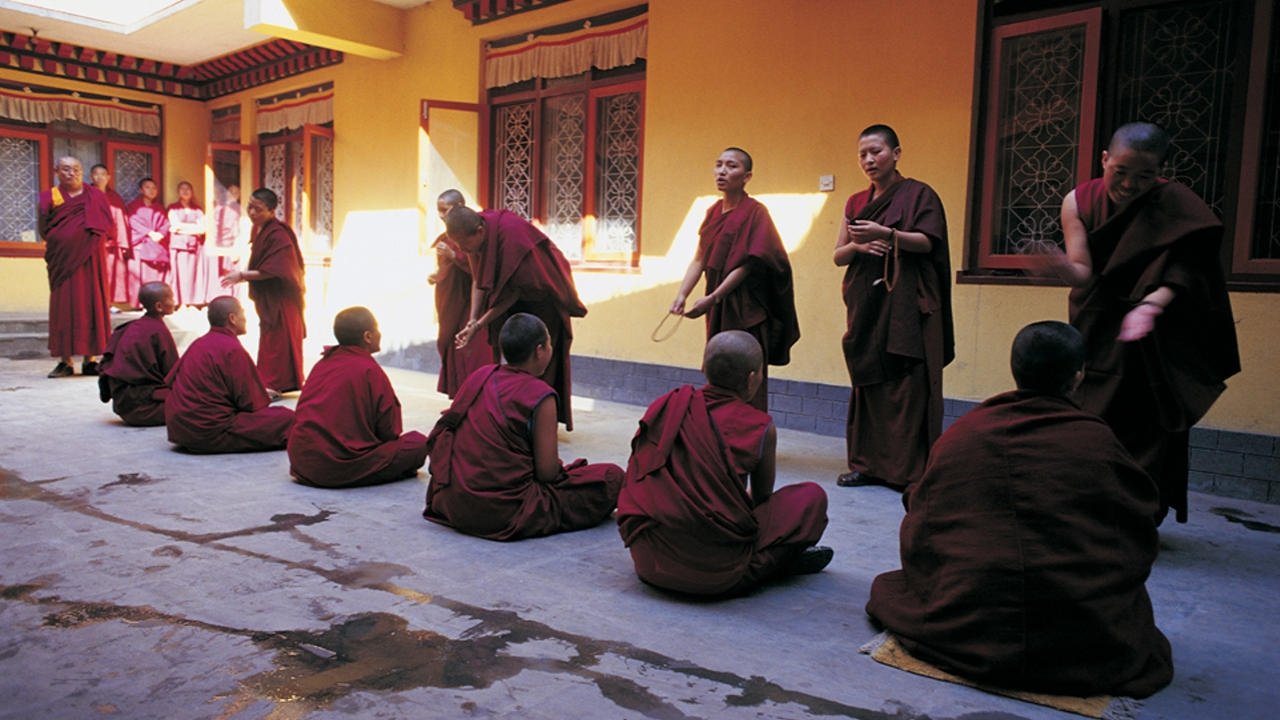 Backdrop for Windhorse