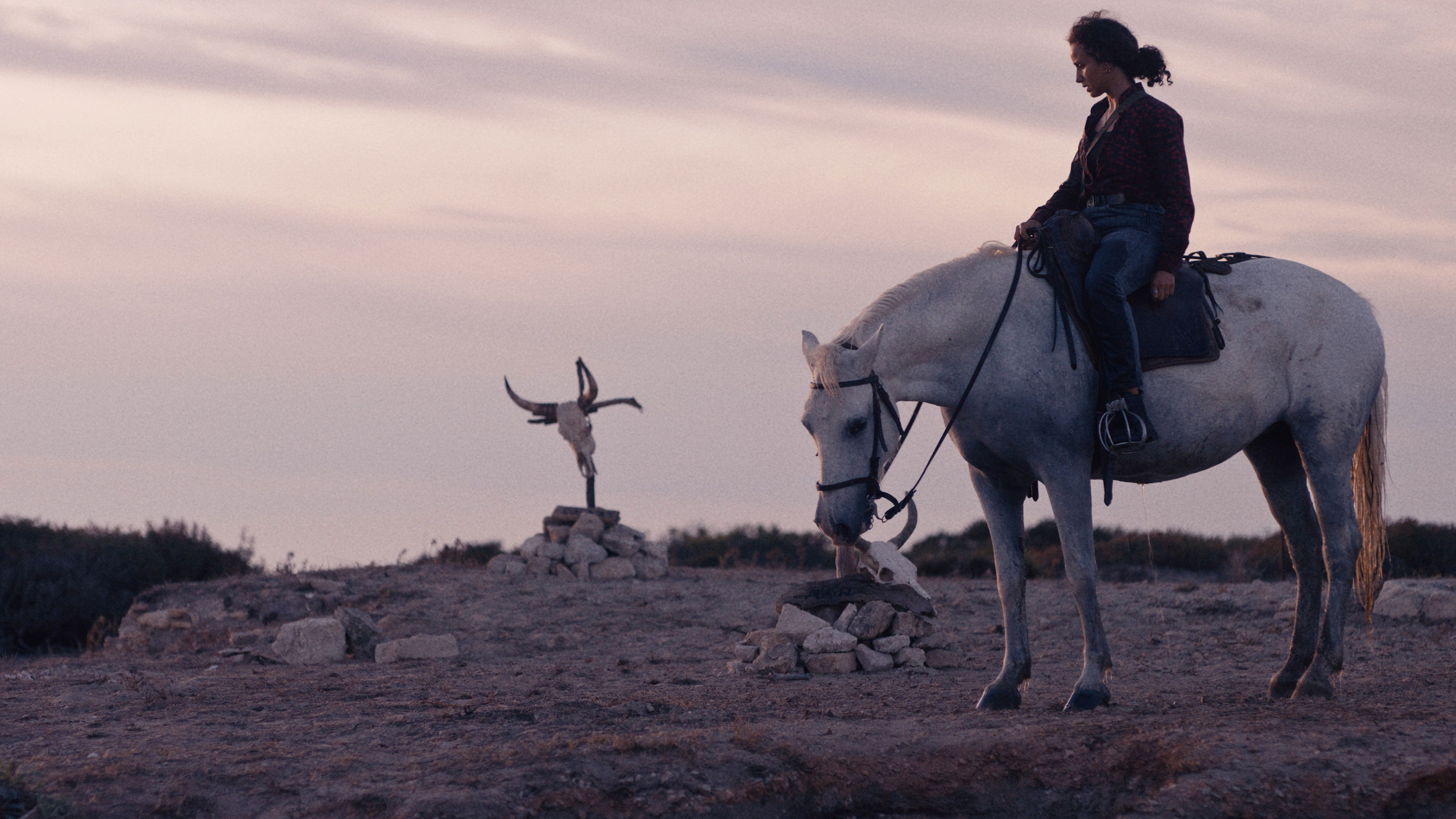 Backdrop for Animale