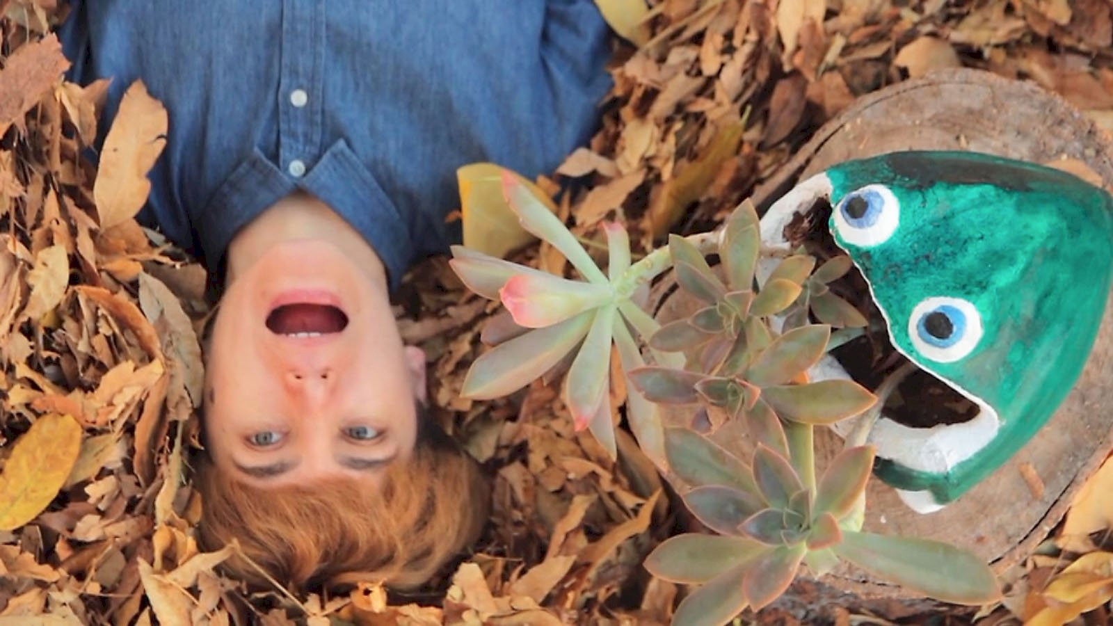 Backdrop for Clementina