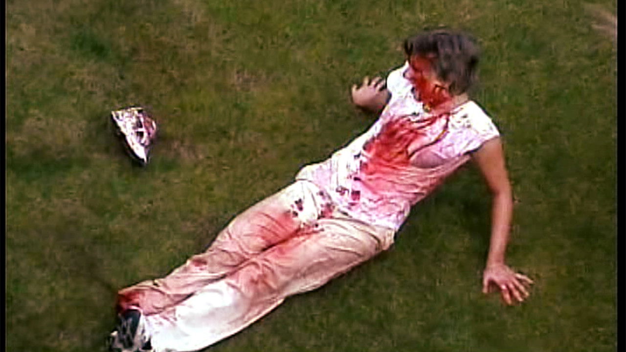 Backdrop for Socks from the Rocks