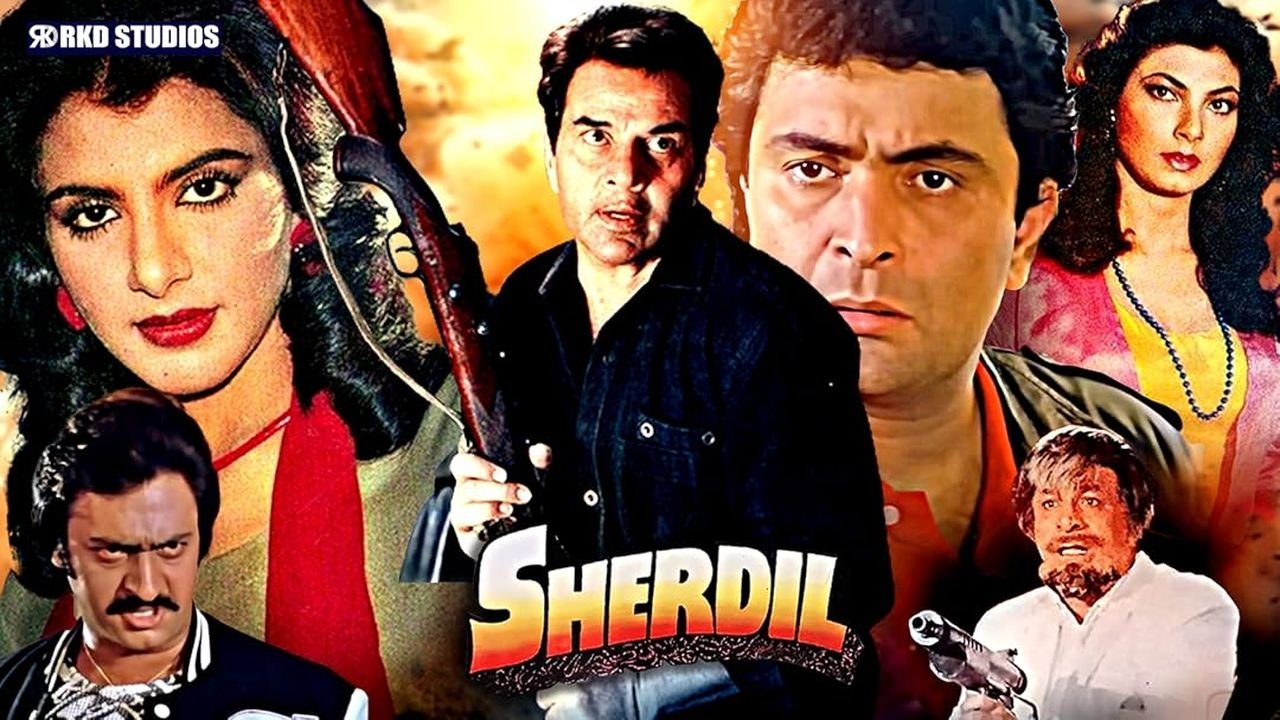 Backdrop for Sher Dil