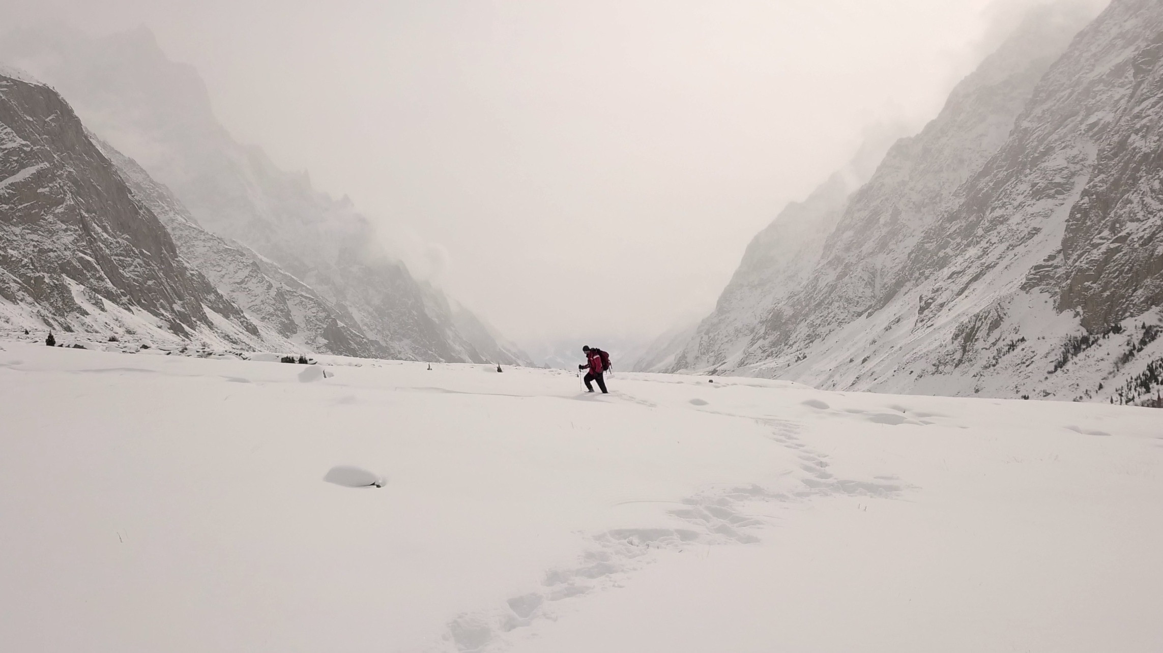 Backdrop for Beyond the Wetlands