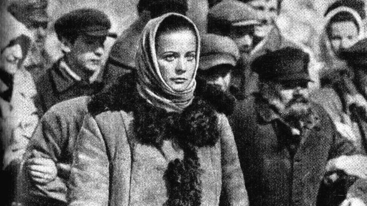 Backdrop for Avalanche