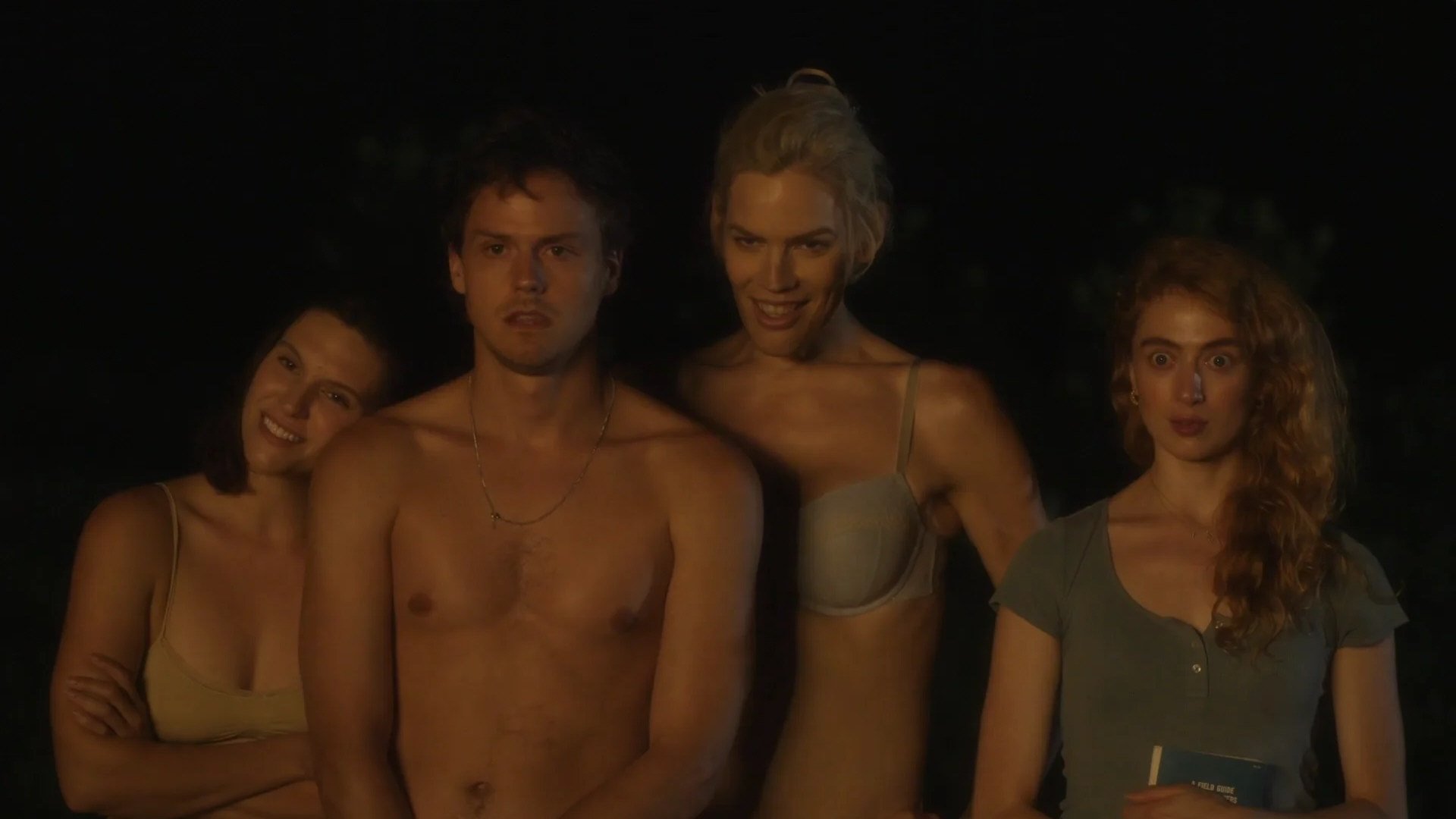 Backdrop for A Dim Valley