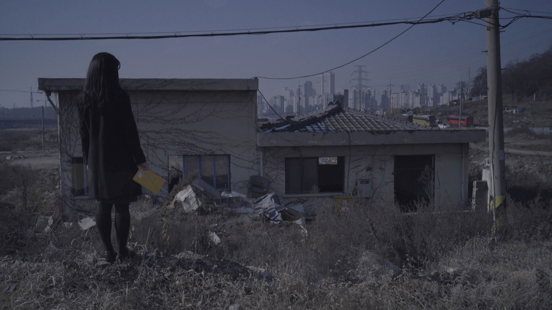 Backdrop for Time to Read Poems