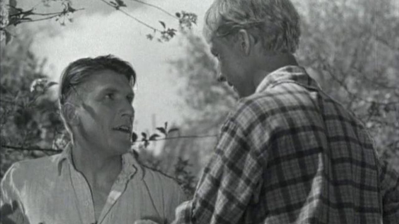 Backdrop for Lad from Our Town