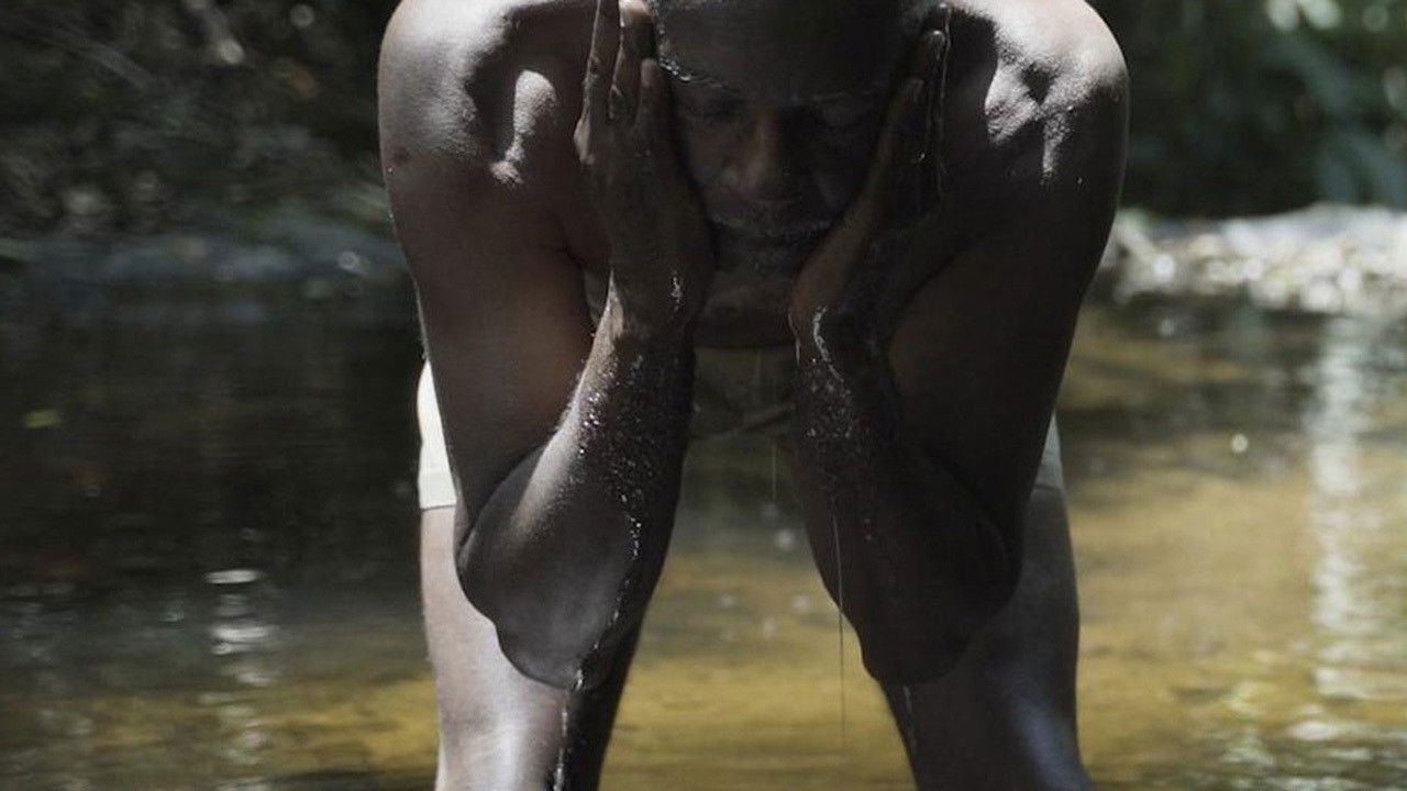 Backdrop for Cantareira