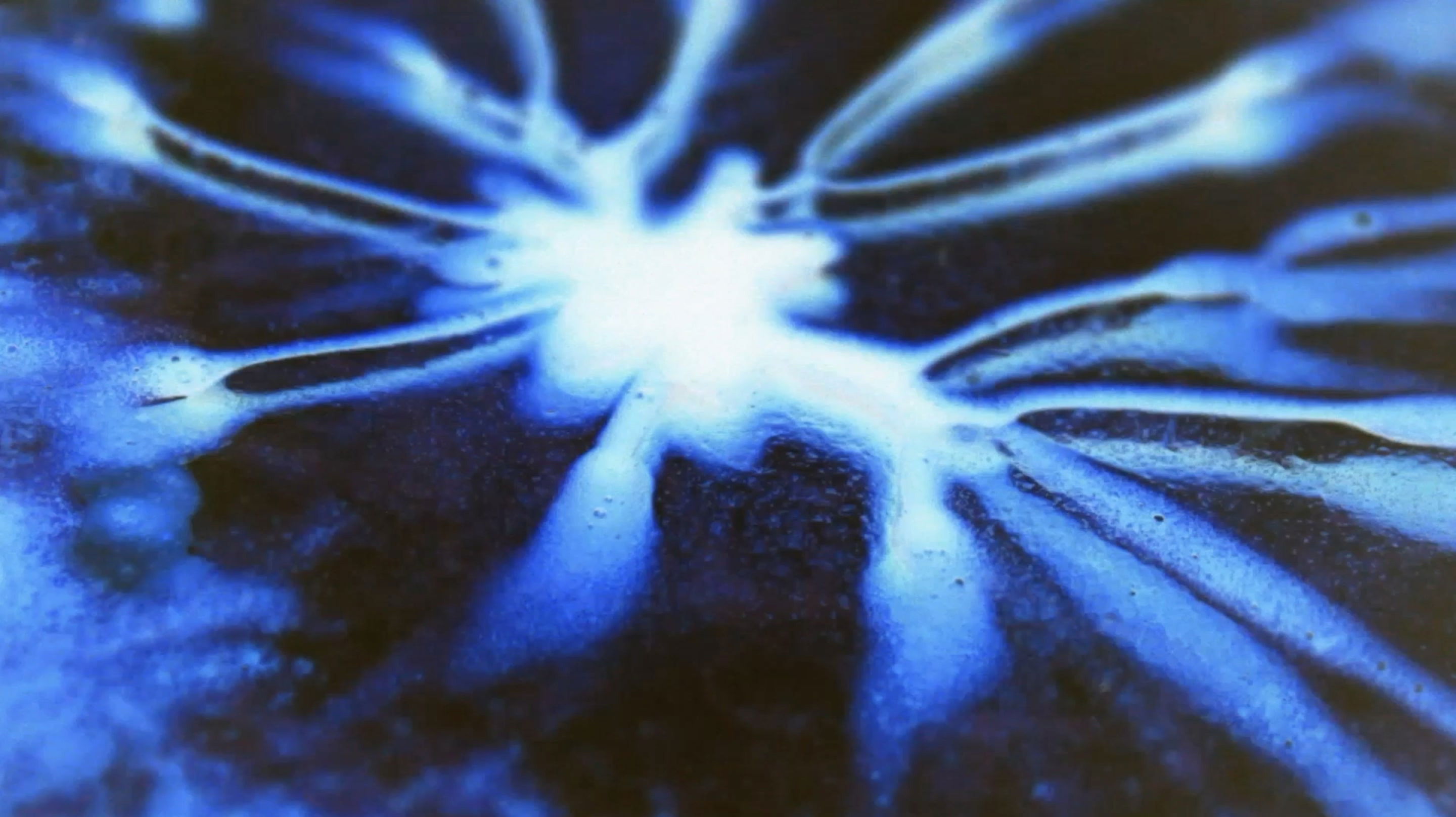 Backdrop for Magnification.