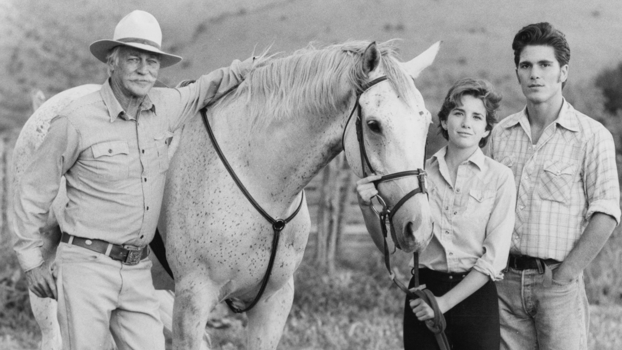 Backdrop for Sylvester