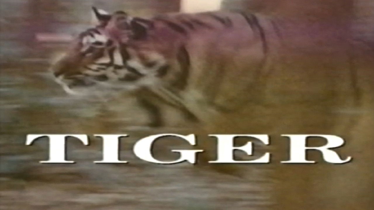 Backdrop for Predators of the Wild: Tiger