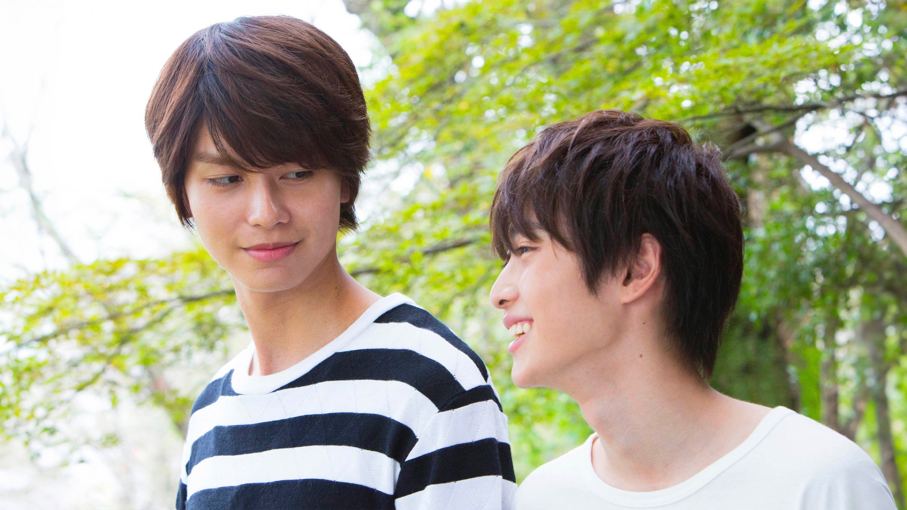 Backdrop for Silhouette of Your Voice