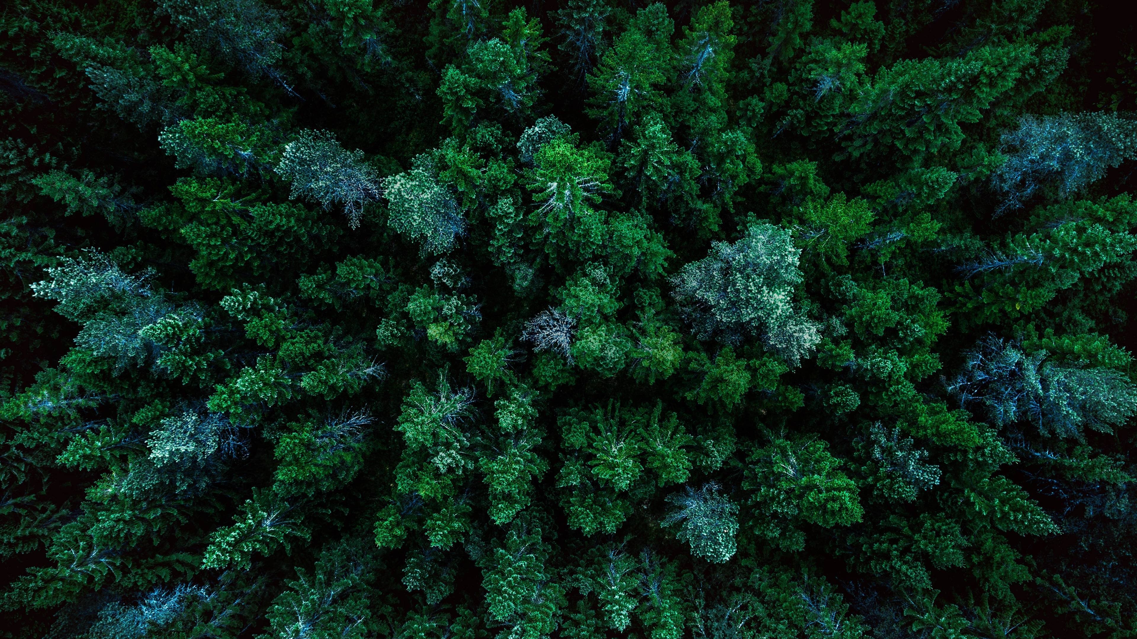 Backdrop for A World of Calm