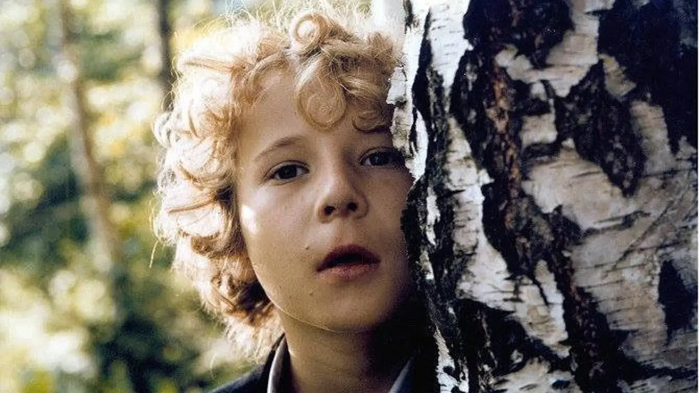 Backdrop for Blinker-Ciko