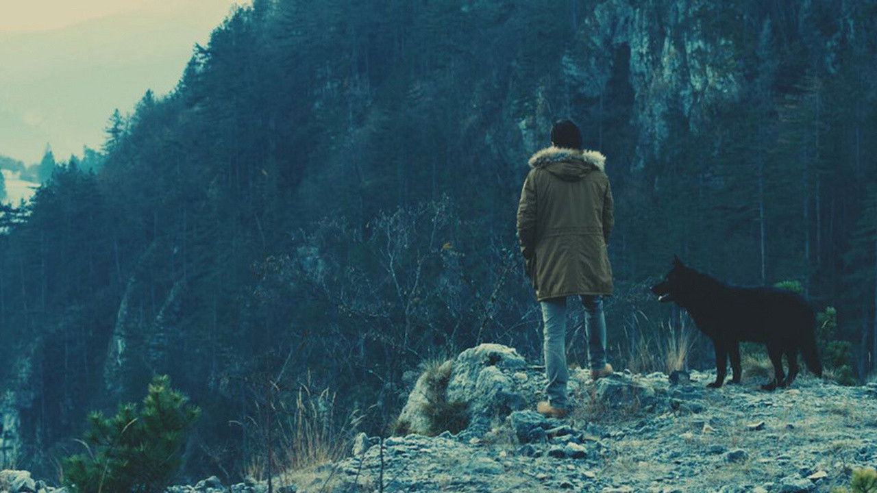 Backdrop for Dogs Die Alone