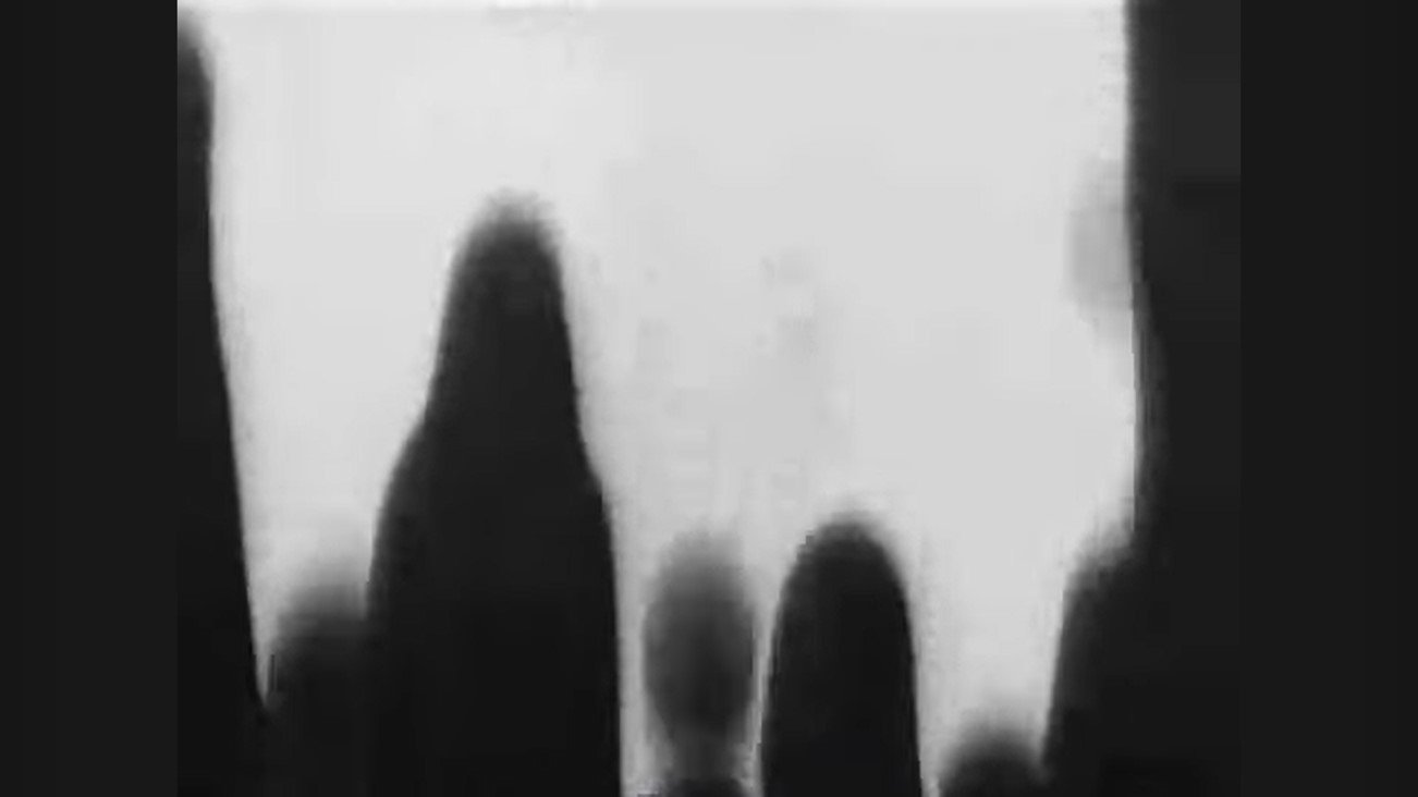 Backdrop for Inhabitants