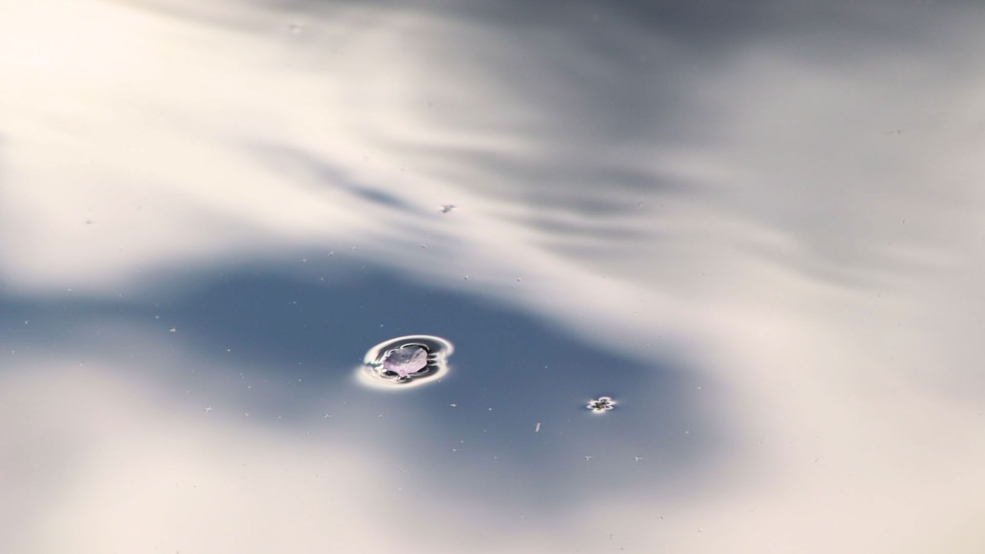 Backdrop for The Last Vigil