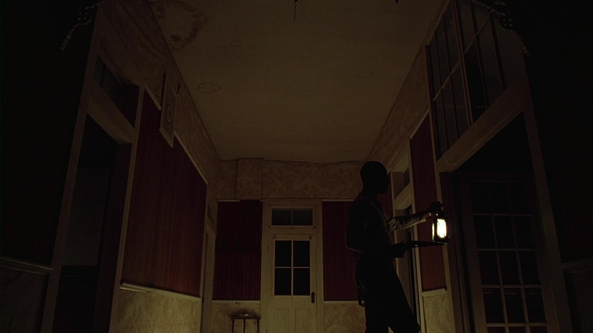 Backdrop for Dead Birds