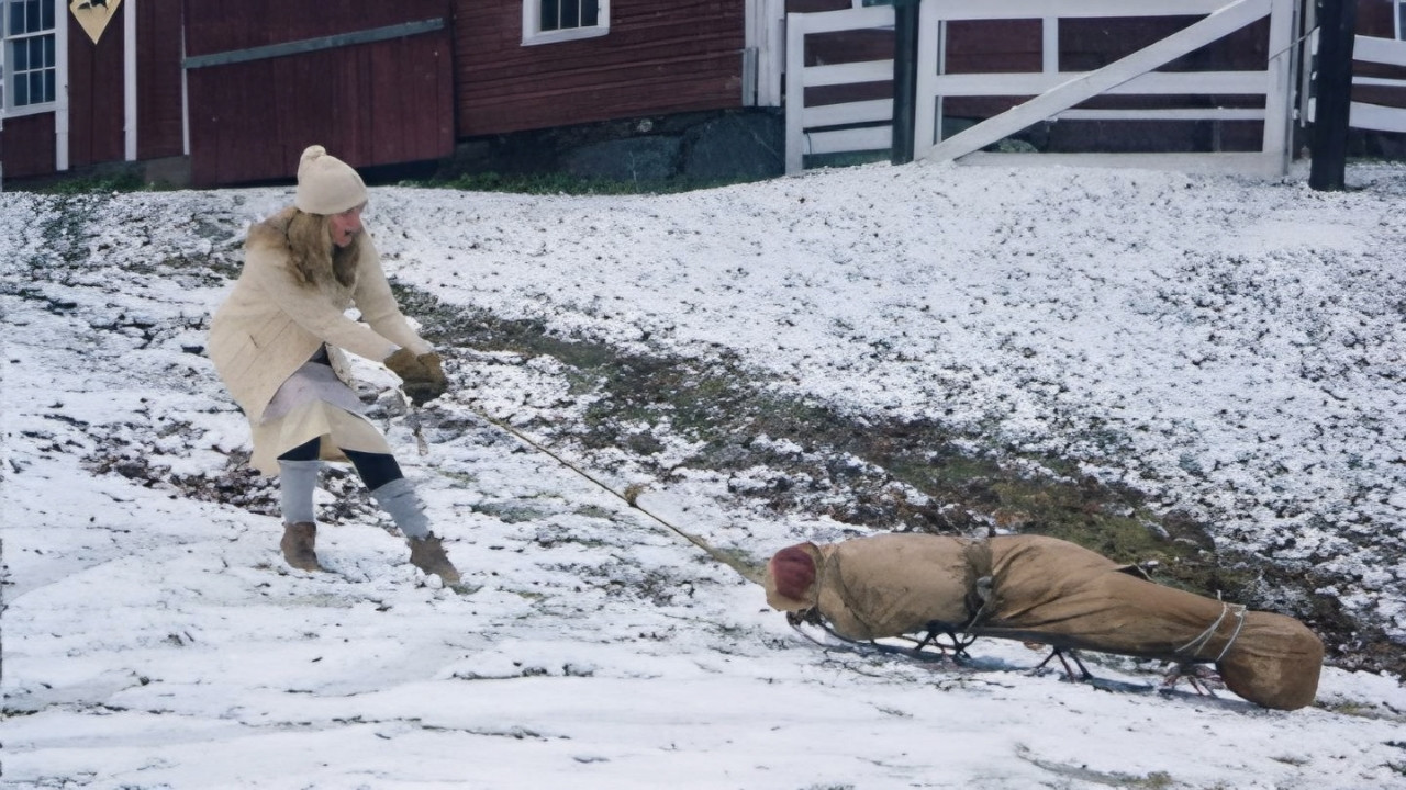 Backdrop for The Handyman