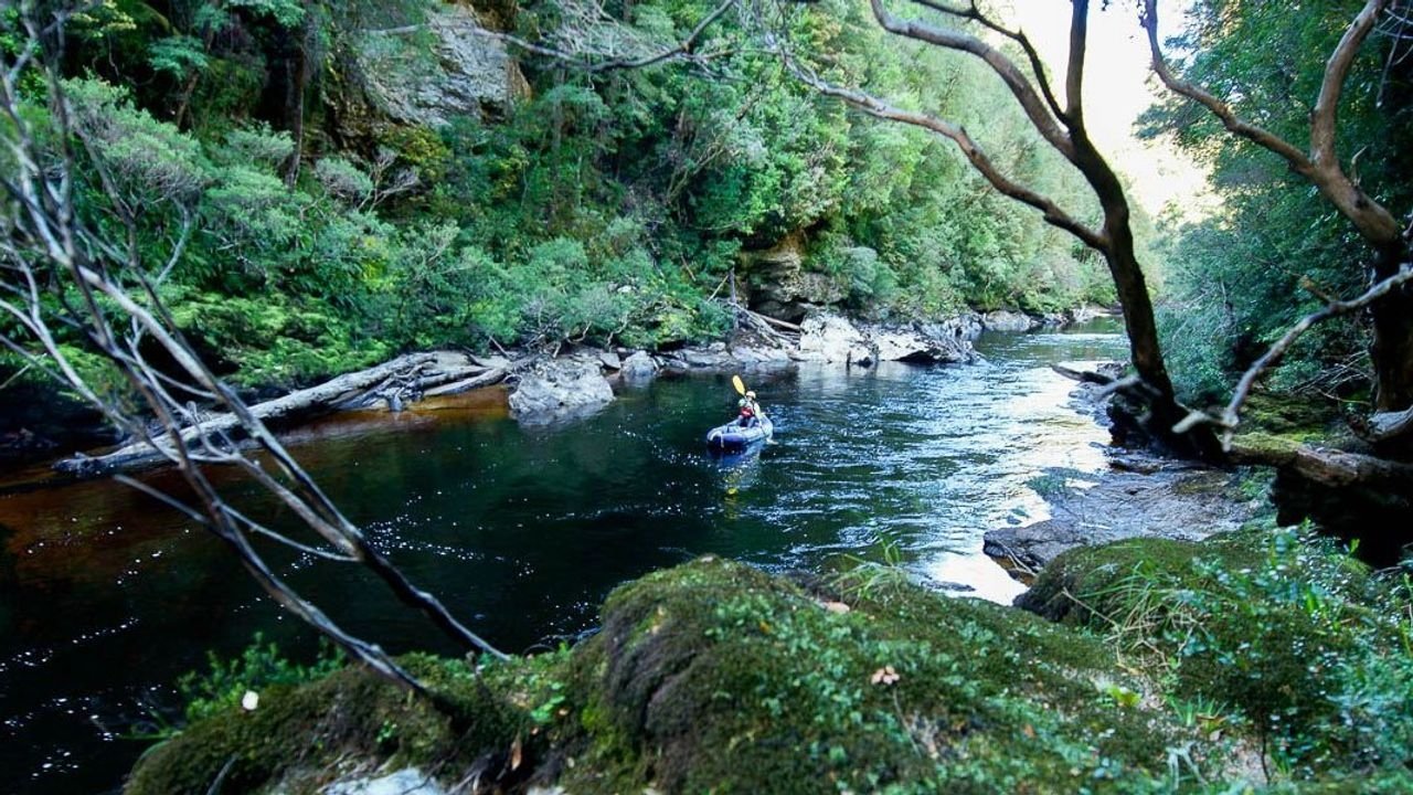 Backdrop for Franklin