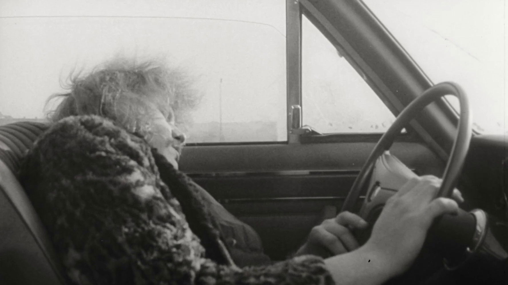 Backdrop for Auf Scheisser schiesst man nicht