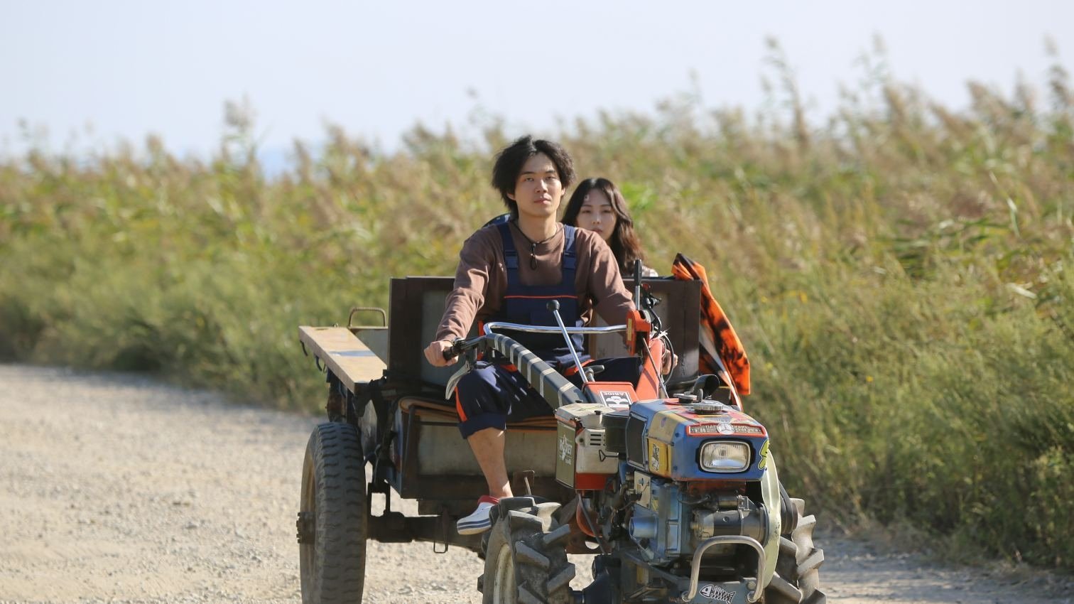 Backdrop for Cabriolet