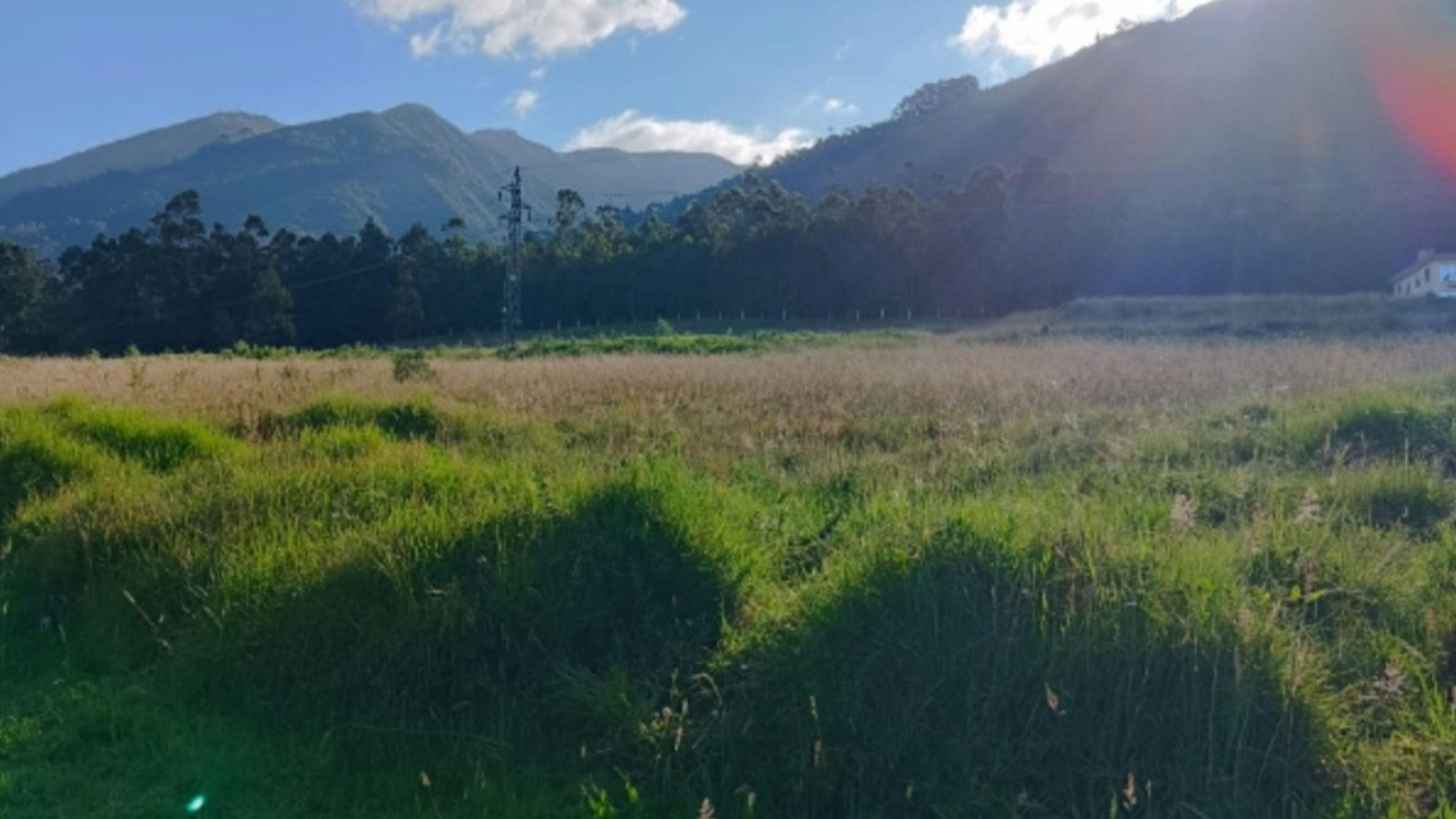 Backdrop for Wakcha Tamya