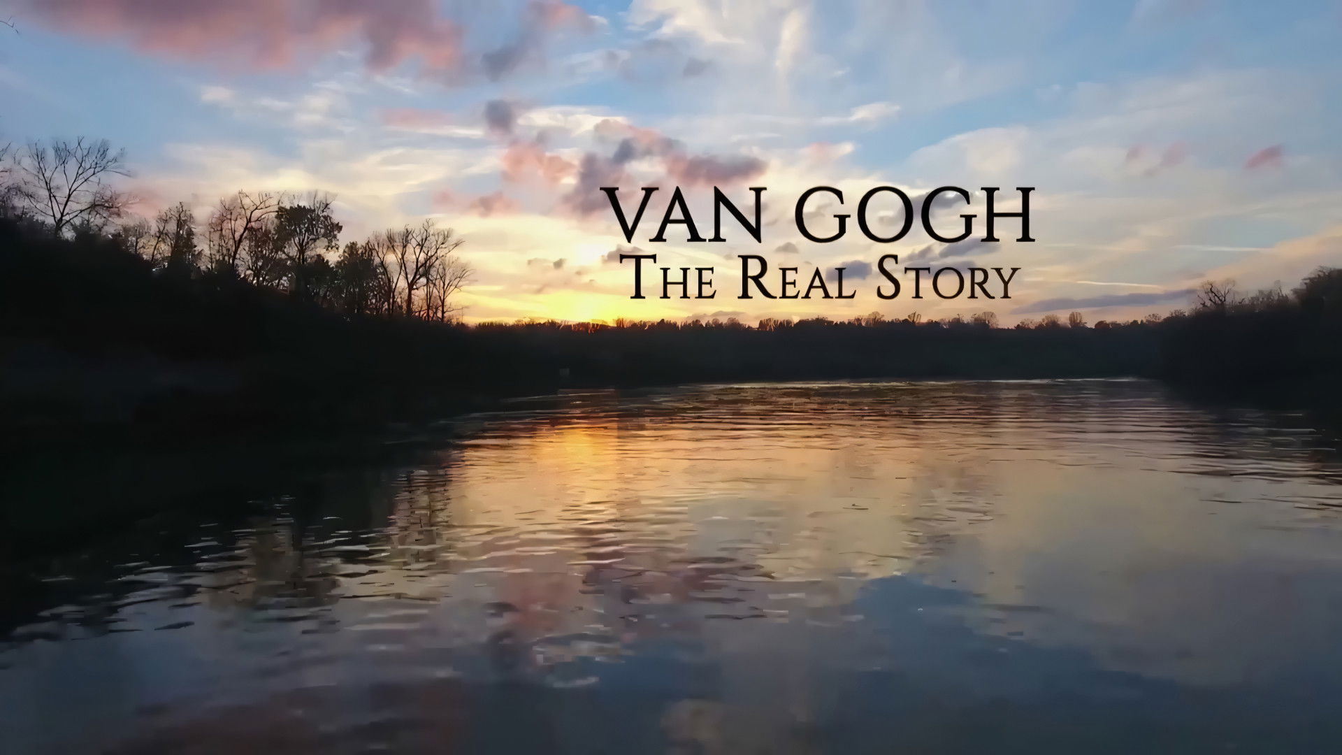 Backdrop for Van Gogh: The Real Story