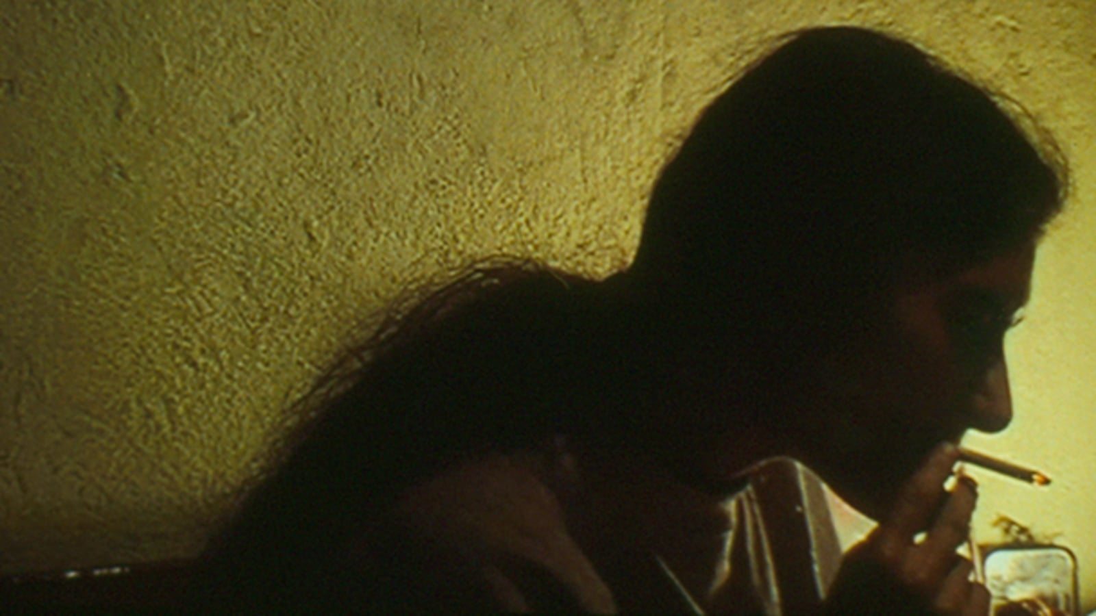 Backdrop for In Vanda's Room