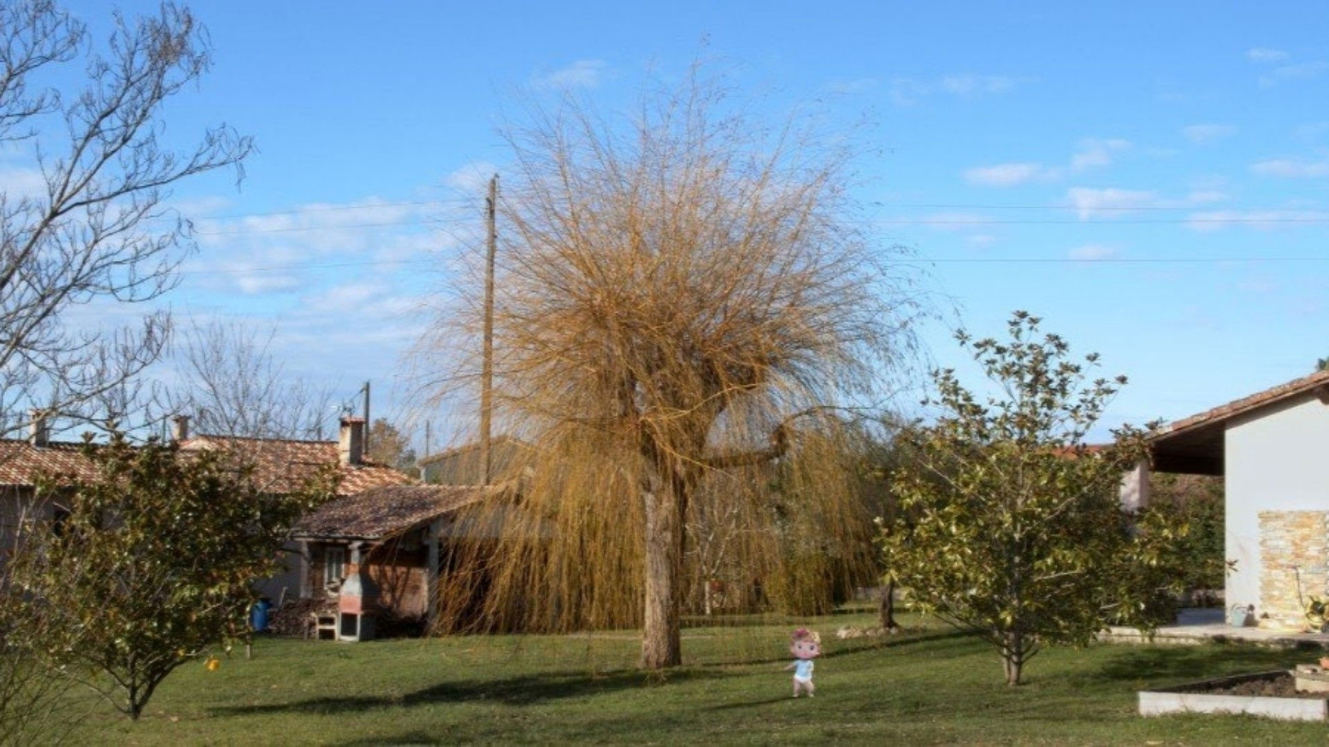 Backdrop for Baby Anger