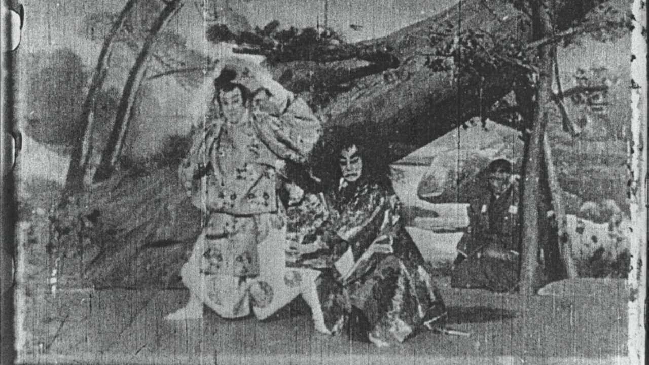 Backdrop for Maple Leaf Viewing