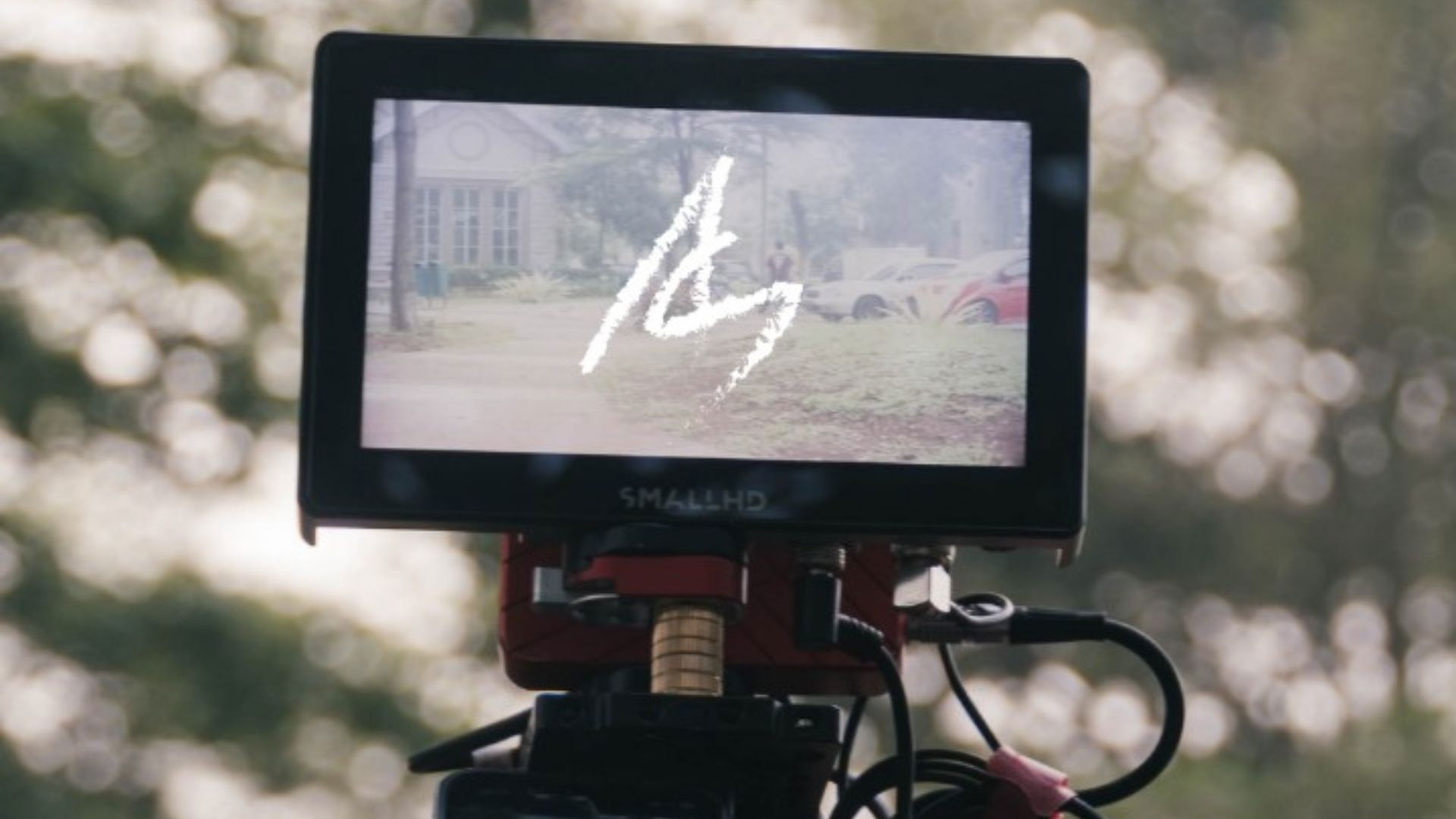 Backdrop for Stillness